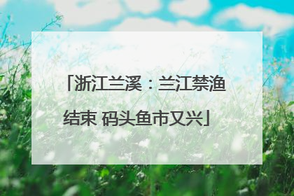 浙江兰溪：兰江禁渔结束 码头鱼市又兴