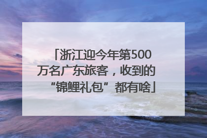 浙江迎今年第500万名广东旅客，收到的“锦鲤礼包”都有啥