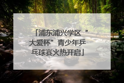 浦东浦兴学区“大爱杯”青少年乒乓球赛火热开启