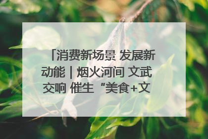 消费新场景 发展新动能｜烟火河间 文武交响 催生“美食+文化”消费新场景