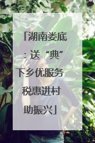 湖南娄底：送“典”下乡优服务 税惠进村助振兴