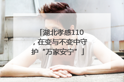 湖北孝感110，在变与不变中守护“万家安宁”