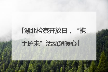 湖北检察开放日，“携手护未”活动超暖心