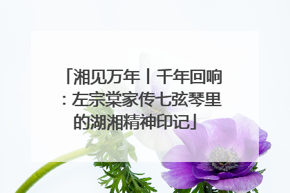 湘见万年丨千年回响：左宗棠家传七弦琴里的湖湘精神印记