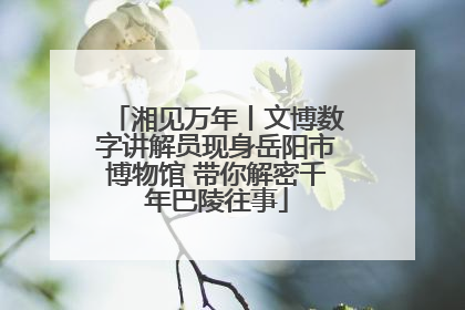 湘见万年丨文博数字讲解员现身岳阳市博物馆 带你解密千年巴陵往事