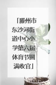 滕州市东沙河街道中心小学第六届体育节圆满收官