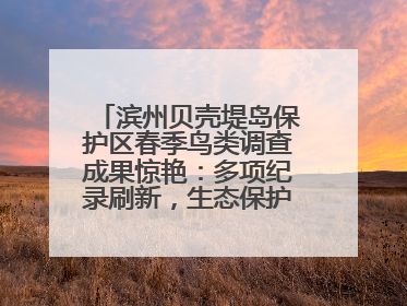 滨州贝壳堤岛保护区春季鸟类调查成果惊艳：多项纪录刷新，生态保护成效显著