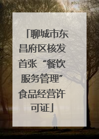 聊城市东昌府区核发首张“餐饮服务管理”食品经营许可证