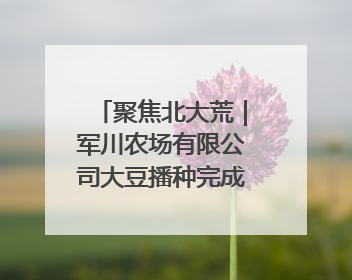 聚焦北大荒｜军川农场有限公司大豆播种完成55.37%