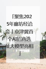 聚焦2025年廊坊经洽会丨京津冀首个AI招商选址大模型亮相