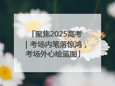 聚焦2025高考｜考场内笔落惊鸿，考场外心绘蓝图