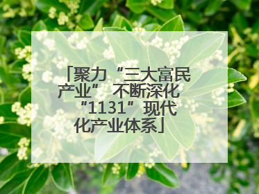 聚力“三大富民产业” 不断深化“1131”现代化产业体系