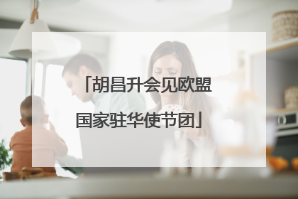 胡昌升会见欧盟国家驻华使节团