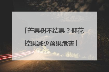 芒果树不结果？抑花控果减少落果危害