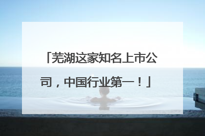 芜湖这家知名上市公司，中国行业第一！