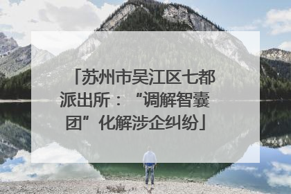 苏州市吴江区七都派出所：“调解智囊团”化解涉企纠纷