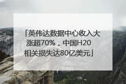 英伟达数据中心收入大涨超70%，中国H20相关损失达80亿美元