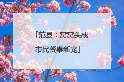 范县：窝窝头成市民餐桌新宠