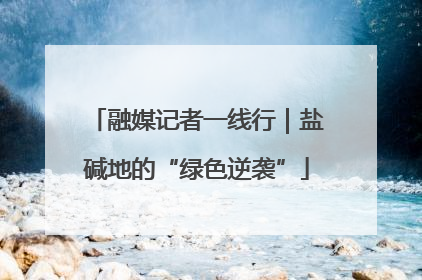 融媒记者一线行｜盐碱地的“绿色逆袭”