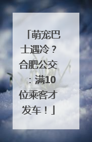 萌宠巴士遇冷？合肥公交：满10位乘客才发车！