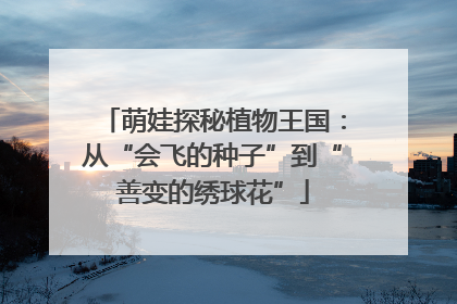 萌娃探秘植物王国：从“会飞的种子”到“善变的绣球花”