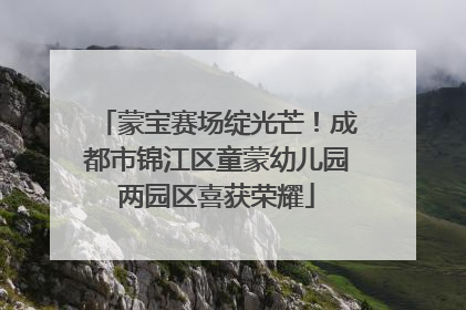 蒙宝赛场绽光芒！成都市锦江区童蒙幼儿园两园区喜获荣耀