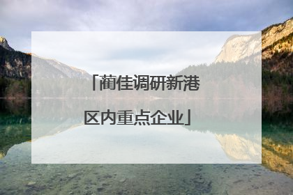 蔺佳调研新港区内重点企业