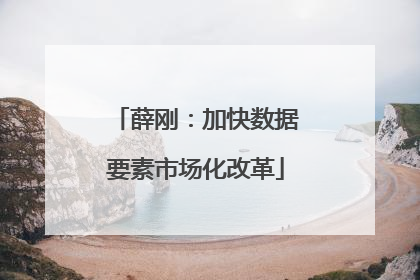 薛刚：加快数据要素市场化改革