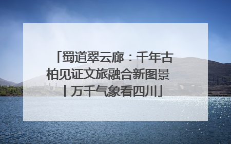 蜀道翠云廊：千年古柏见证文旅融合新图景丨万千气象看四川