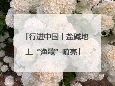 行进中国丨盐碱地上“渔歌”嘹亮