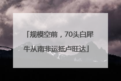 规模空前，70头白犀牛从南非运抵卢旺达
