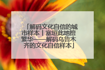 解码文化自信的城市样本丨塞垣此地擅繁华——解码乌鲁木齐的文化自信样本
