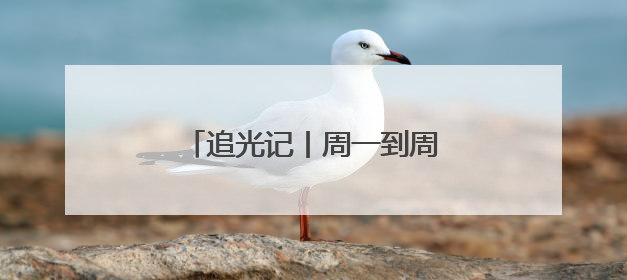 追光记丨周一到周五，欢迎来齐鲁