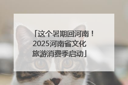 这个暑期回河南！2025河南省文化旅游消费季启动