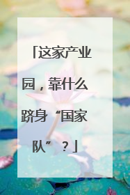 这家产业园，靠什么跻身“国家队”？