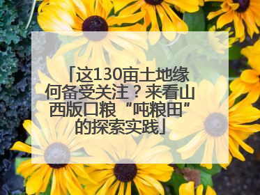 这130亩土地缘何备受关注？来看山西版口粮“吨粮田”的探索实践