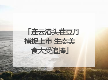 连云港头茬豆丹捕捉上市 生态美食大受追捧