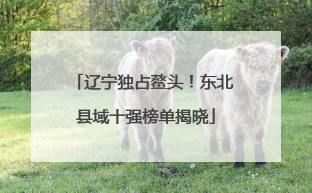 辽宁独占鳌头！东北县域十强榜单揭晓