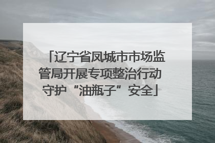 辽宁省凤城市市场监管局开展专项整治行动守护“油瓶子”安全