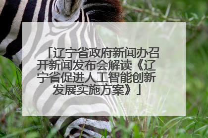 辽宁省政府新闻办召开新闻发布会解读《辽宁省促进人工智能创新发展实施方案》