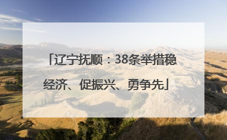 辽宁抚顺：38条举措稳经济、促振兴、勇争先