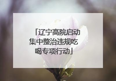 辽宁高院启动集中整治违规吃喝专项行动