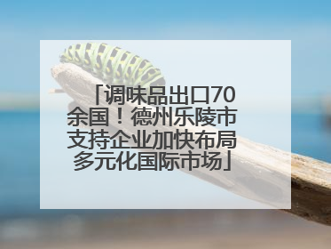 调味品出口70余国！德州乐陵市支持企业加快布局多元化国际市场