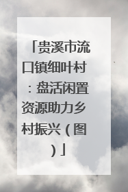 贵溪市流口镇细叶村：盘活闲置资源助力乡村振兴（图）