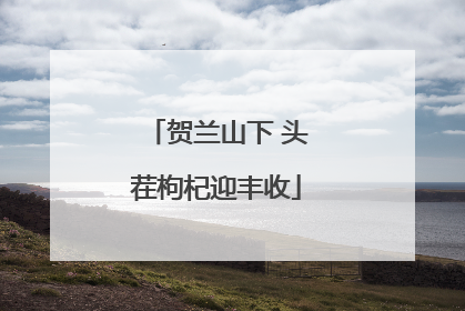 贺兰山下 头茬枸杞迎丰收