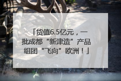 货值6.5亿元，一批成都“新津造”产品组团“飞向”欧洲！