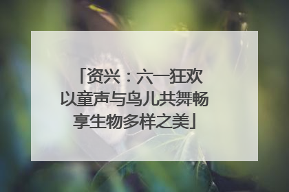 资兴：六一狂欢 以童声与鸟儿共舞畅享生物多样之美