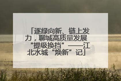 逐绿向新、链上发力，聊城高质量发展“提级换挡”——江北水城“焕新”记