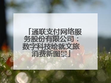 通联支付网络服务股份有限公司：数字科技绘就文旅消费新图景