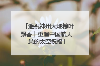 遥祝神州大地粽叶飘香｜重温中国航天员的太空祝福